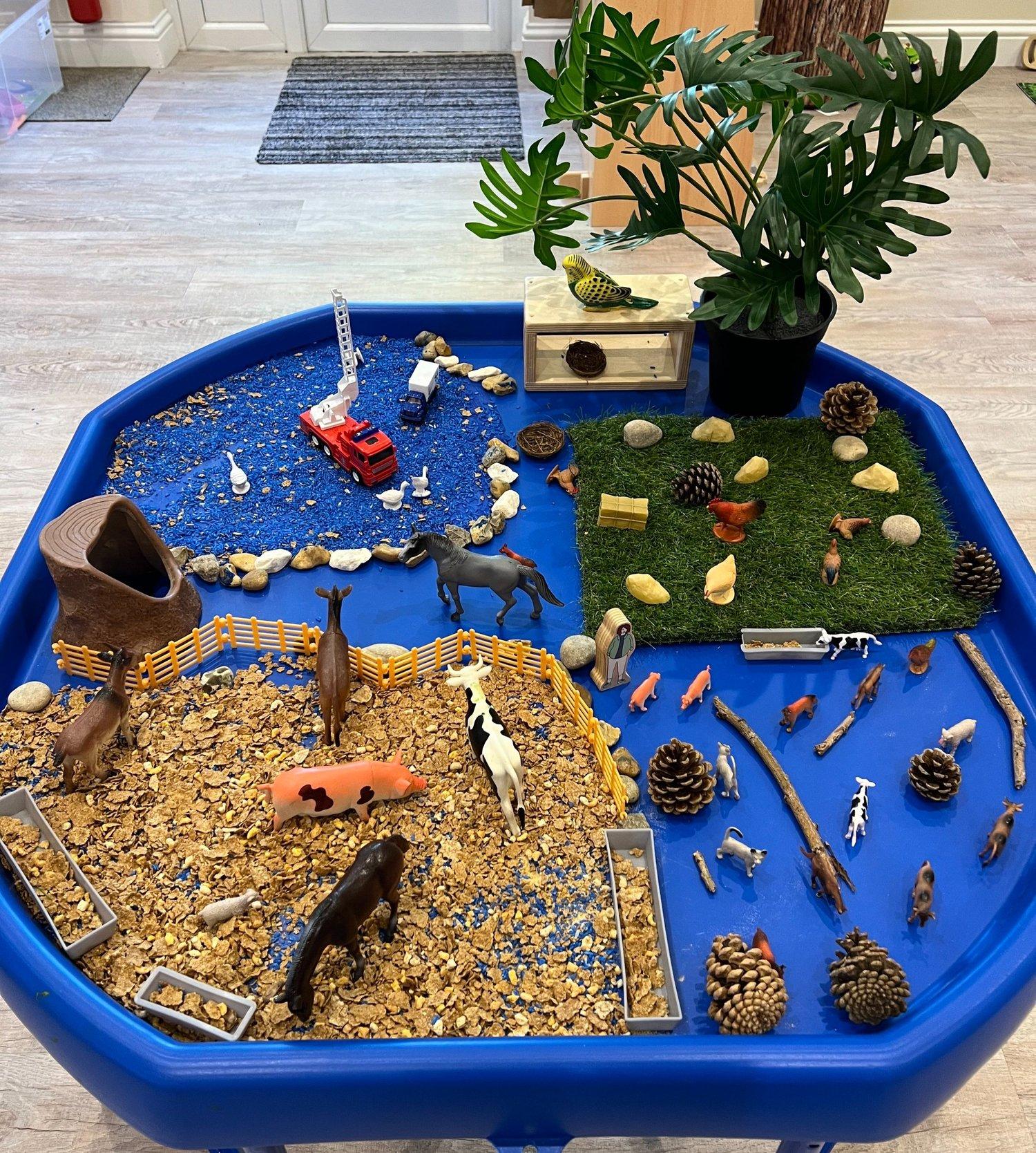 A detailed sensory small-world investigation